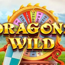 Dragons Wild